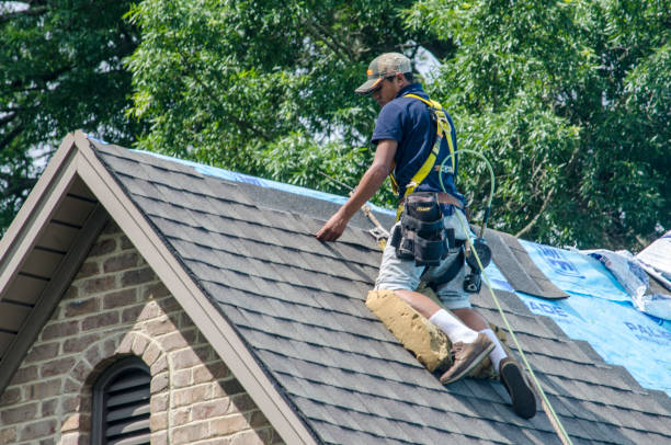 Best Shingle Roofing Installation  in Carteret, NJ